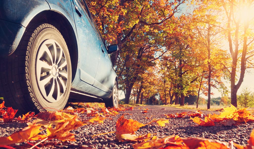 Manutenzione auto in autunno: tutto quello che devi assolutamente fare