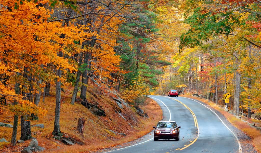 Viaggiare in autunno: i consigli per una guida sicura